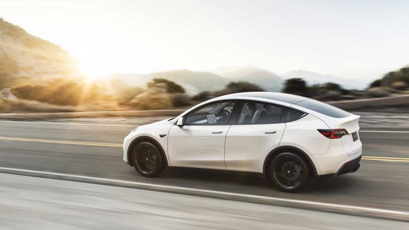 model y